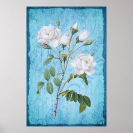 Poster Rosas Brancas Vintage Shabby Chic em Madeira Azul