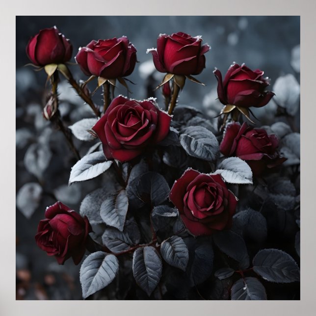 Poster rosas burgundos com folhas pretas cobertas de fung (Frente)
