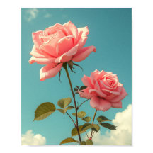 Rosas Cor-de-Rosa Antigas Céu Azul Arte Floral Bot