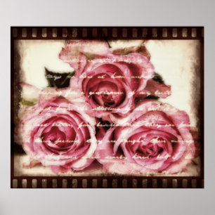 Póster Rosas cor-de-rosa do vintage