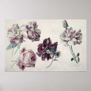 Póster Rosas de Alma-Tadema