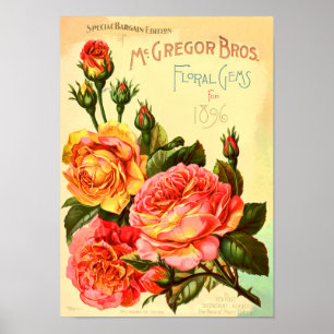 Poster Rosas De Gems Floral Cobrir De Catálogo De Semente