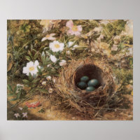 Rosas de Ninho e Cachorro de Bird, de John William