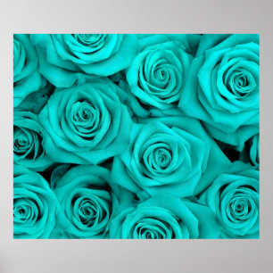 Póster Rosas do Spectacular de turquesa