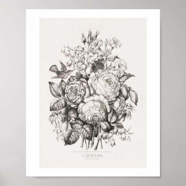 Poster Rosas e campainhas (1870) arte cromolitografada. f (Frente)