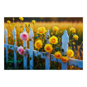 Póster Rosas em uma Cerca Branca