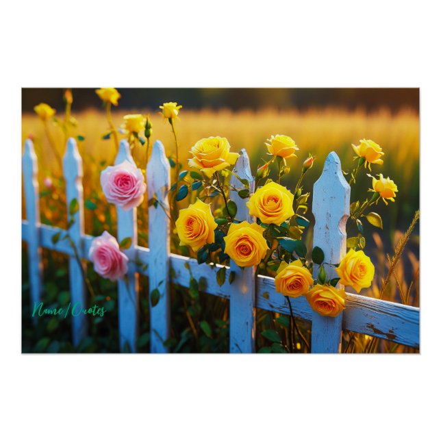 Póster Rosas em uma Cerca Branca (Frente)
