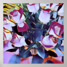 ROSAS HÍBRIDOS abstrato PINK