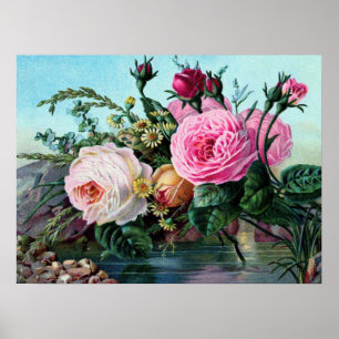 Póster Rosas Ingleses Vintage Chique Floral