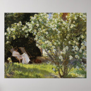 Poster Rosas. Marie Krøyer sentada na cadeira de deck