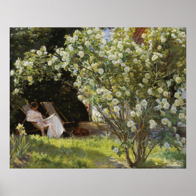 Poster Rosas. Marie Krøyer sentada na cadeira de deck (Frente)