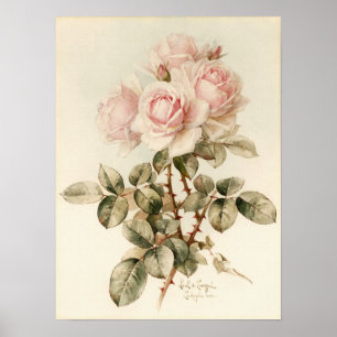 Póster Rosas românticos do Victorian do vintage