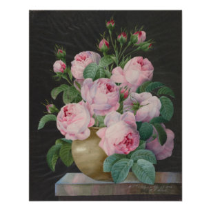 Póster Rosas rosa em um vaso - Pierre Joseph Redouté
