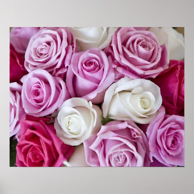 Poster Rosas rosa na canvas (Frente)