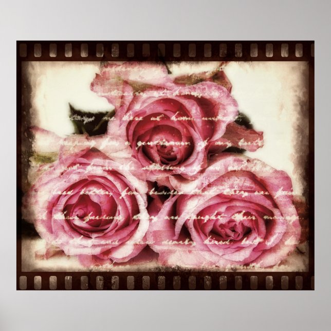 Póster Rosas Rosa Vintage (Frente)