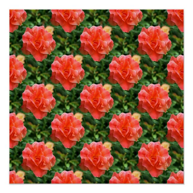Póster Rosas são vermelhos... (Frente)
