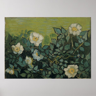 Poster Rosas selvagens de Vincent Van Gogh