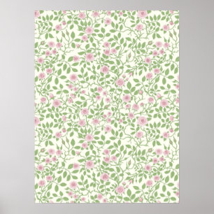 Poster Rosas silvestres