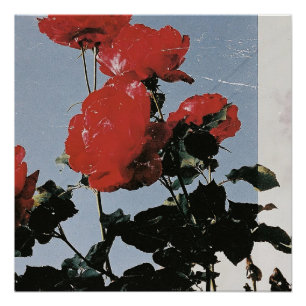 Póster Rosas Vermelhas Antigas Contra um Céu Azul