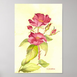 Póster Rosas vermelhas e botões