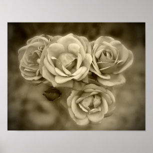 Póster Rosas Vintage Sepia