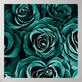 Poster Rose Bouquet em Turquoise