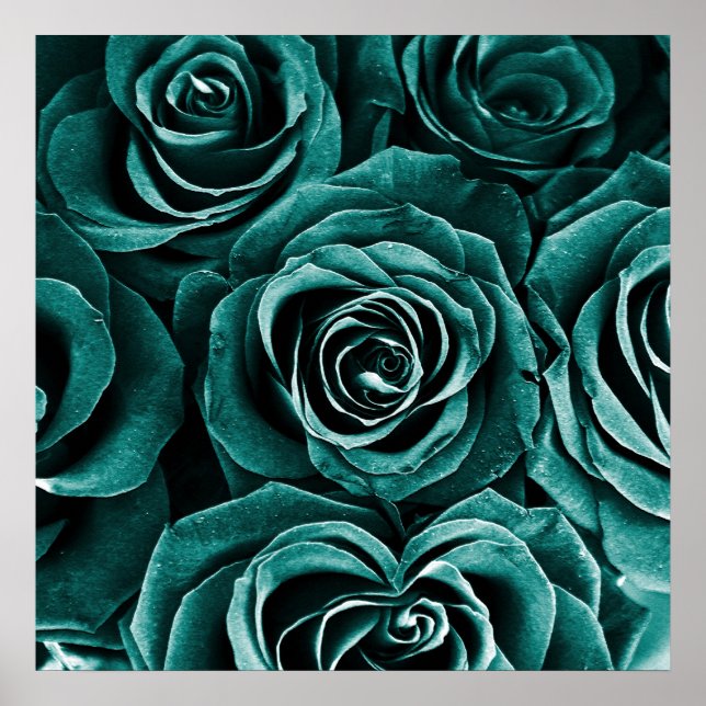 Poster Rose Bouquet em Turquoise (Frente)