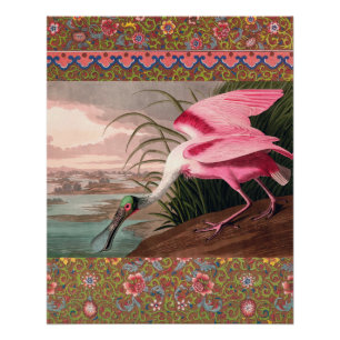 Póster Roseate Spoonbill Audubon Bird Willife