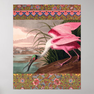 Póster Roseate Spoonbill Audubon Bird Willife