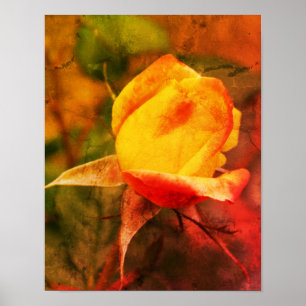 Poster Rosebud Amarelo Com Destaques Vermelhos Arte Afast