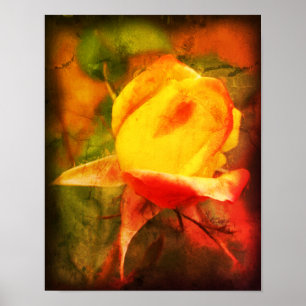 Poster Rosebud Floral Pintura Fotográfica Em Destaque