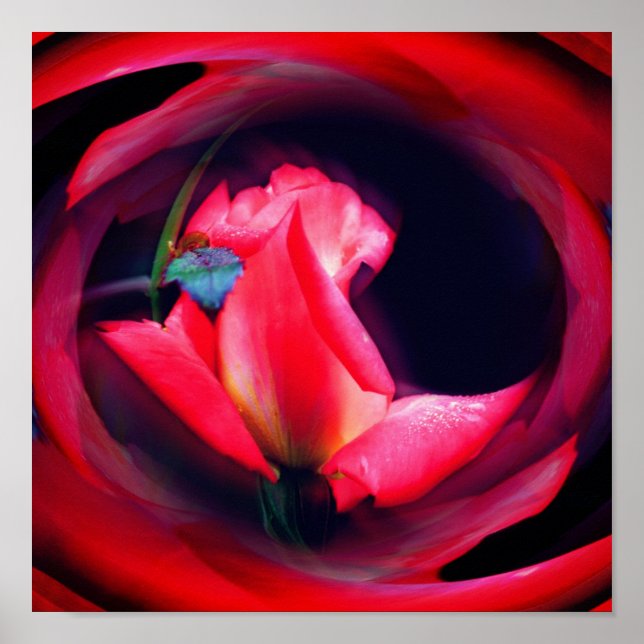 Poster Rosebud Rosa Abstrato Arte Floral (Frente)