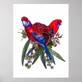 Poster Rosela Carmesim Australiana e Buquê de Flores Silv