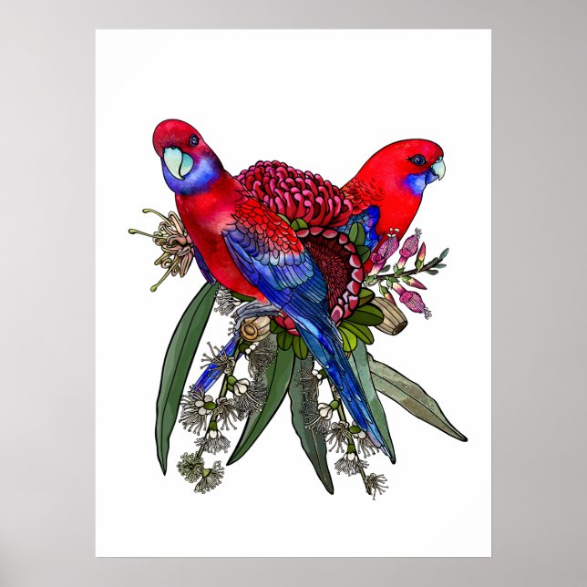 Poster Rosela Carmesim Australiana e Buquê de Flores Silv (Frente)