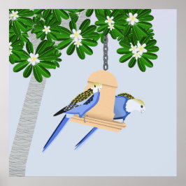 Poster Rosellas de peças de Casal bonito