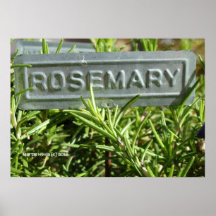 Póster Rosemary