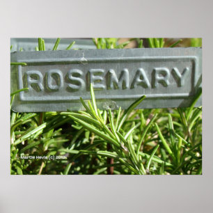 Póster Rosemary