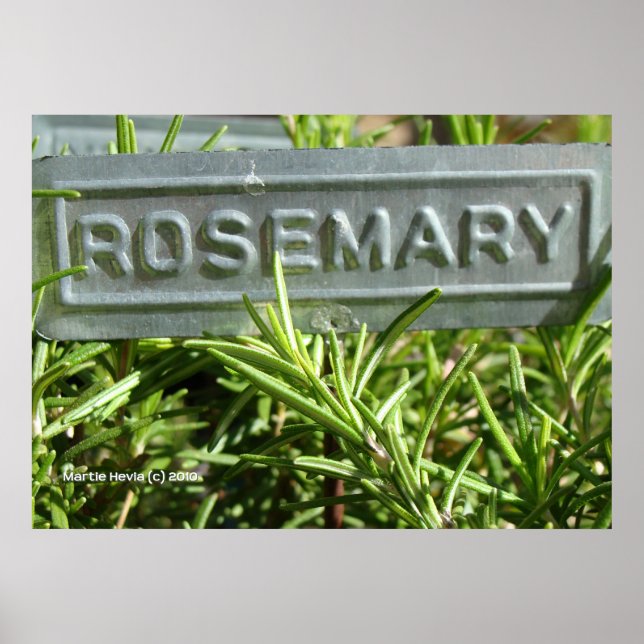 Póster Rosemary (Frente)