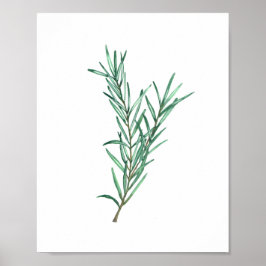 Póster Rosemary