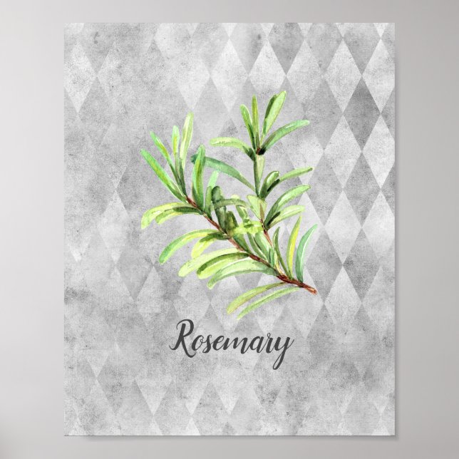 Poster Rosemary Herb Watercolor (Frente)