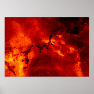 Poster Rosette Nebula Foto