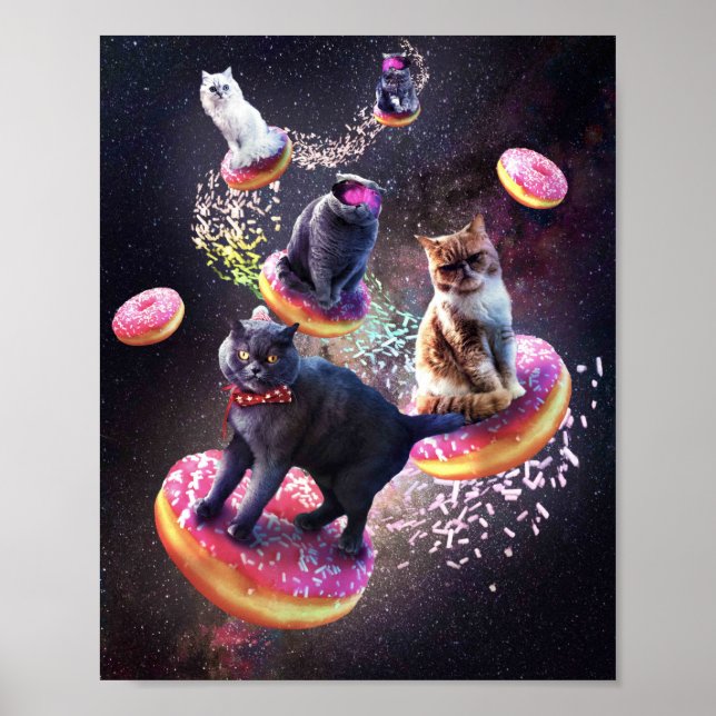 Poster Rosquinha de Gatos Galáxicos - Rosquinhas de Gatos (Frente)