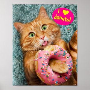 Poster Rosquinha para alimentação de gatos