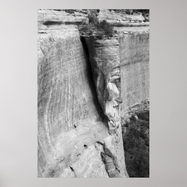 Poster Rosto (Frente)