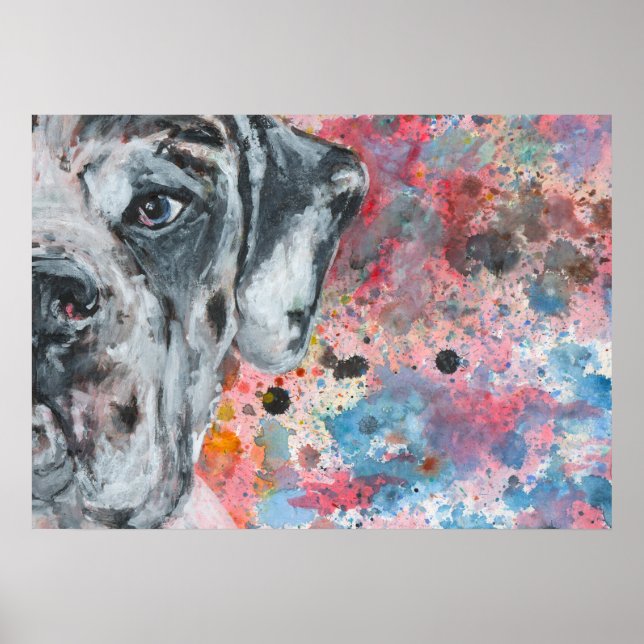 Poster Rosto de Great Dane pintado à aquarela (Frente)