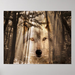 Póster Rosto de lobo na floresta