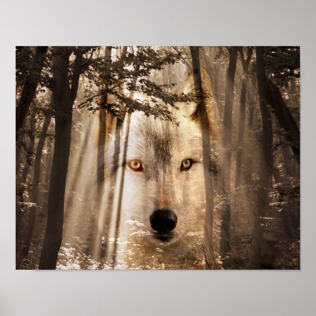 Póster Rosto de lobo na floresta (Frente)