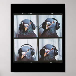 Poster Rosto de Pombo Fofo Autismo Sensorial Pássaro Auti