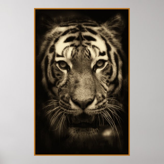 Poster Rosto de Tigre Crescente em Tones Sepia (Frente)