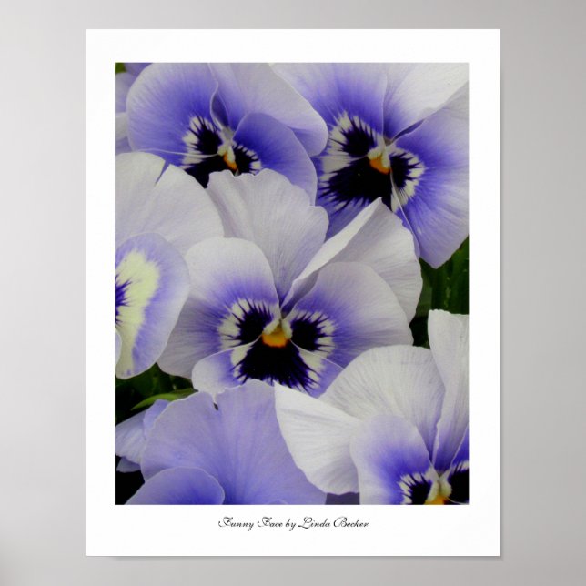 Póster Rosto engraçado de Linda Becker (Frente)